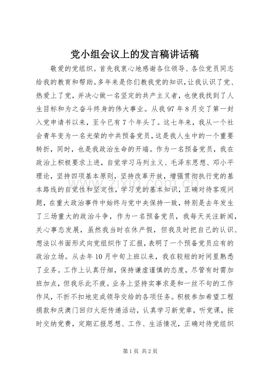 党小组会议上的发言稿讲话发言稿.docx_第1页