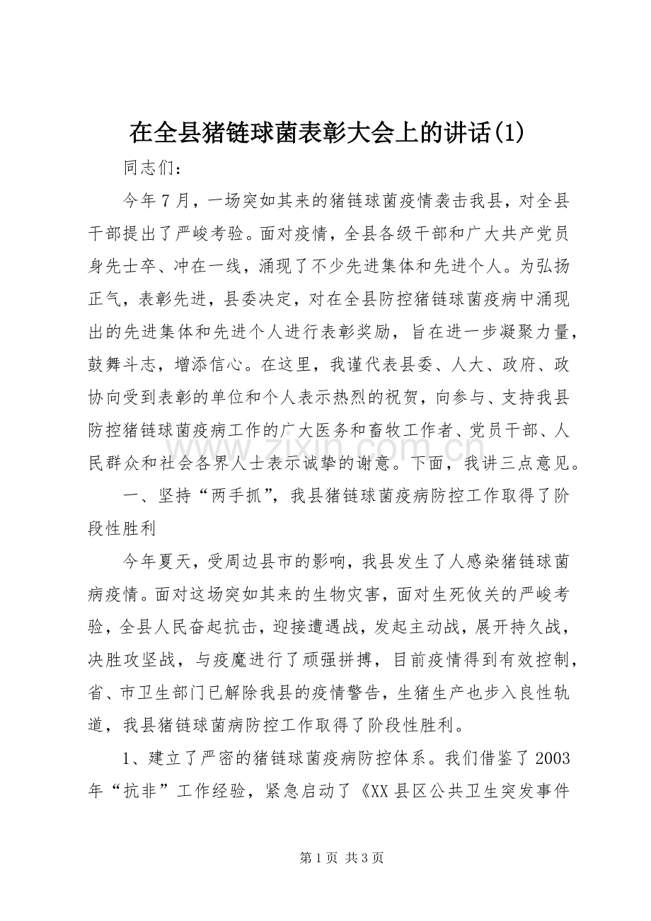 在全县猪链球菌表彰大会上的讲话发言(1).docx_第1页
