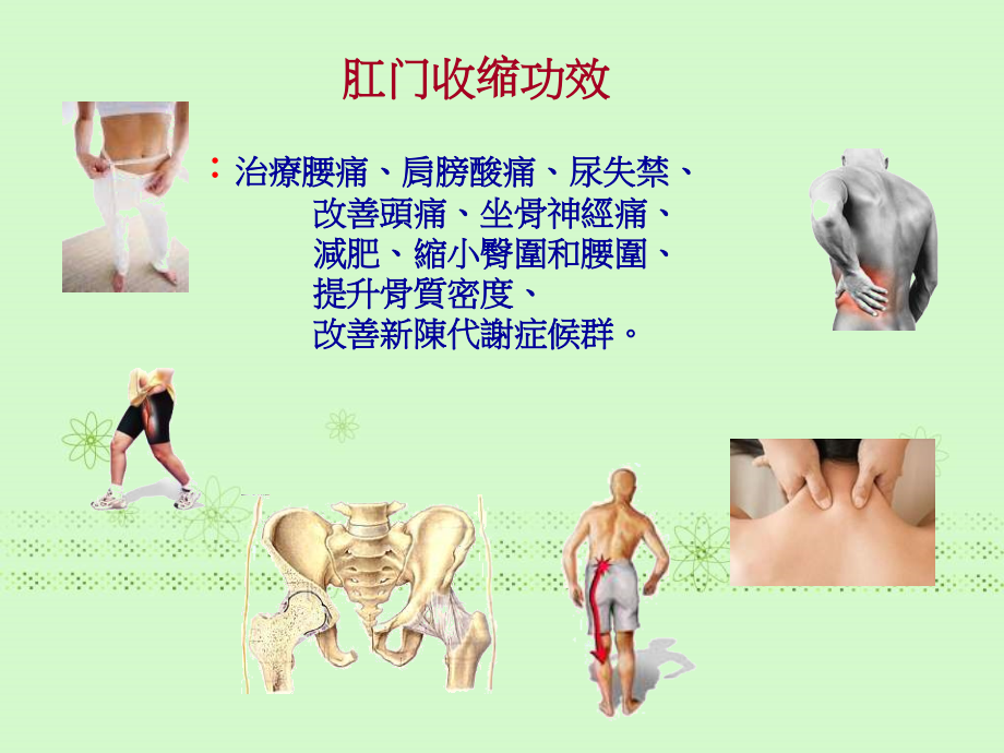 缩肛治病保健.ppt_第2页