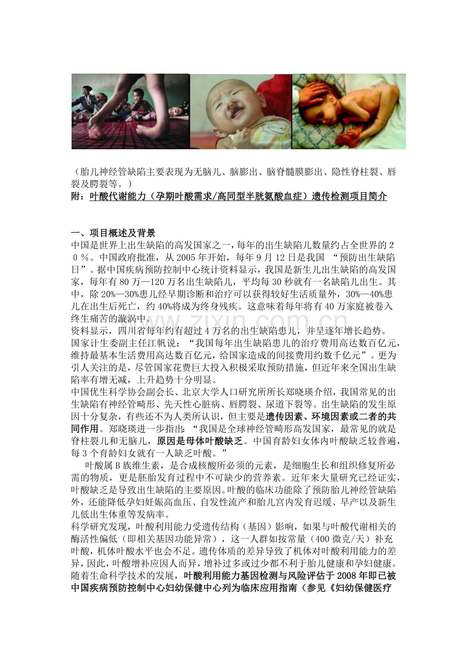 基因检测与叶酸吸收.doc_第2页