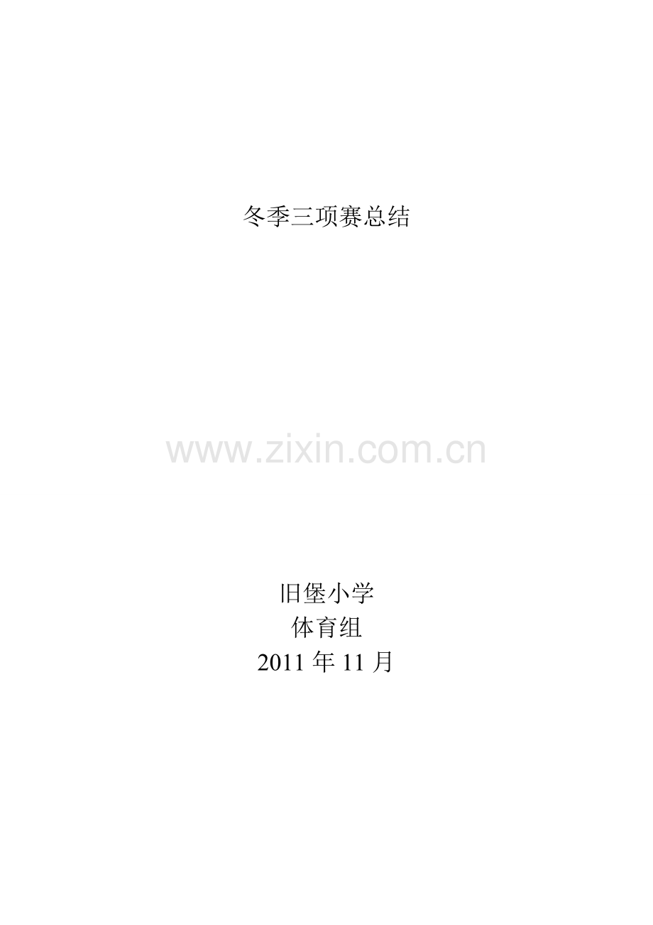 冬季三项赛总结.doc_第2页