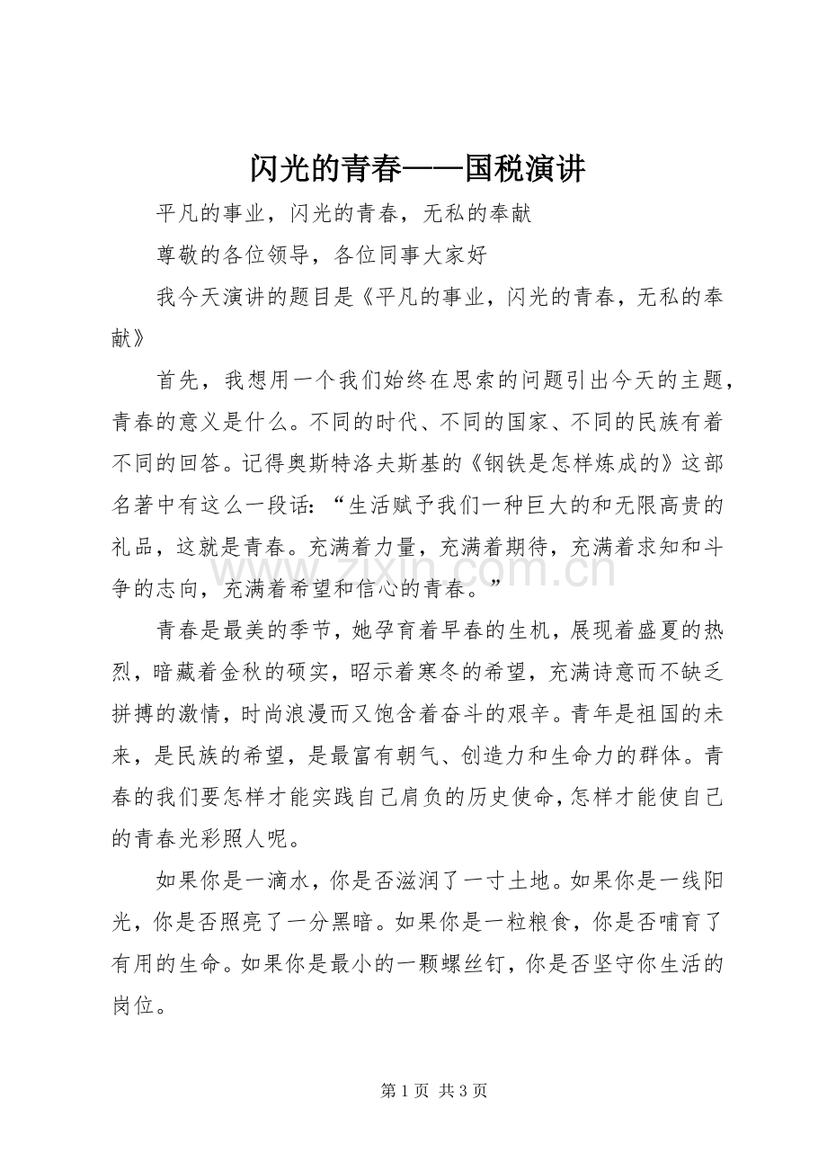 闪光的青春——国税演讲稿.docx_第1页