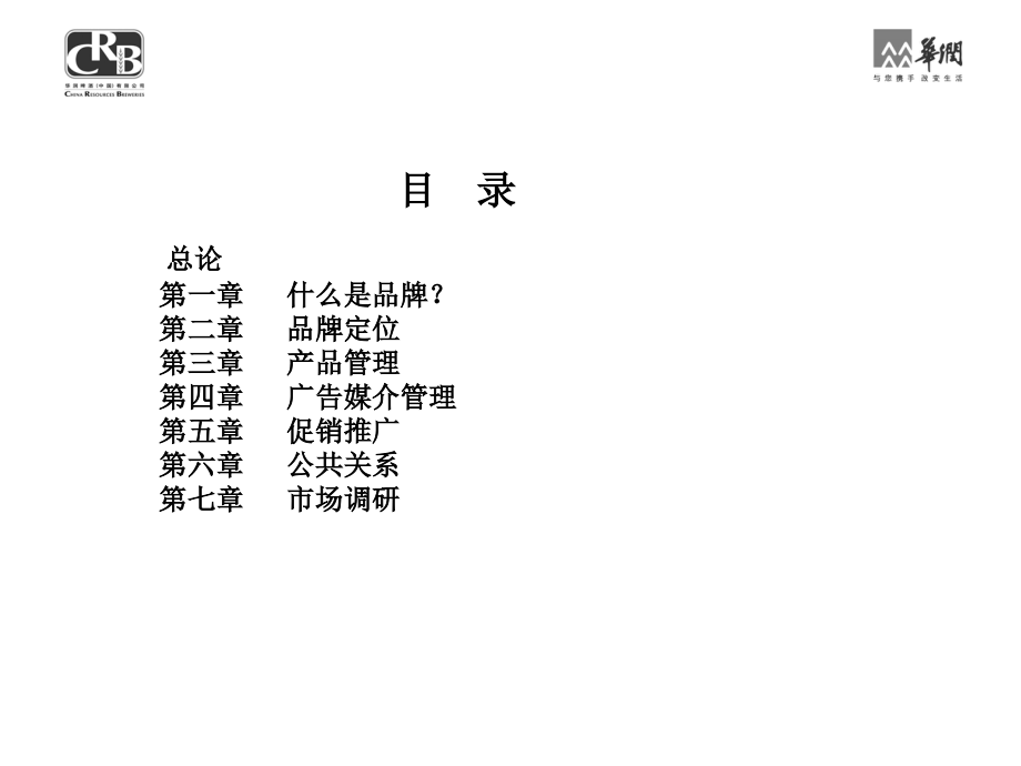 华润集团品牌管理手册修订稿(255页).ppt_第2页