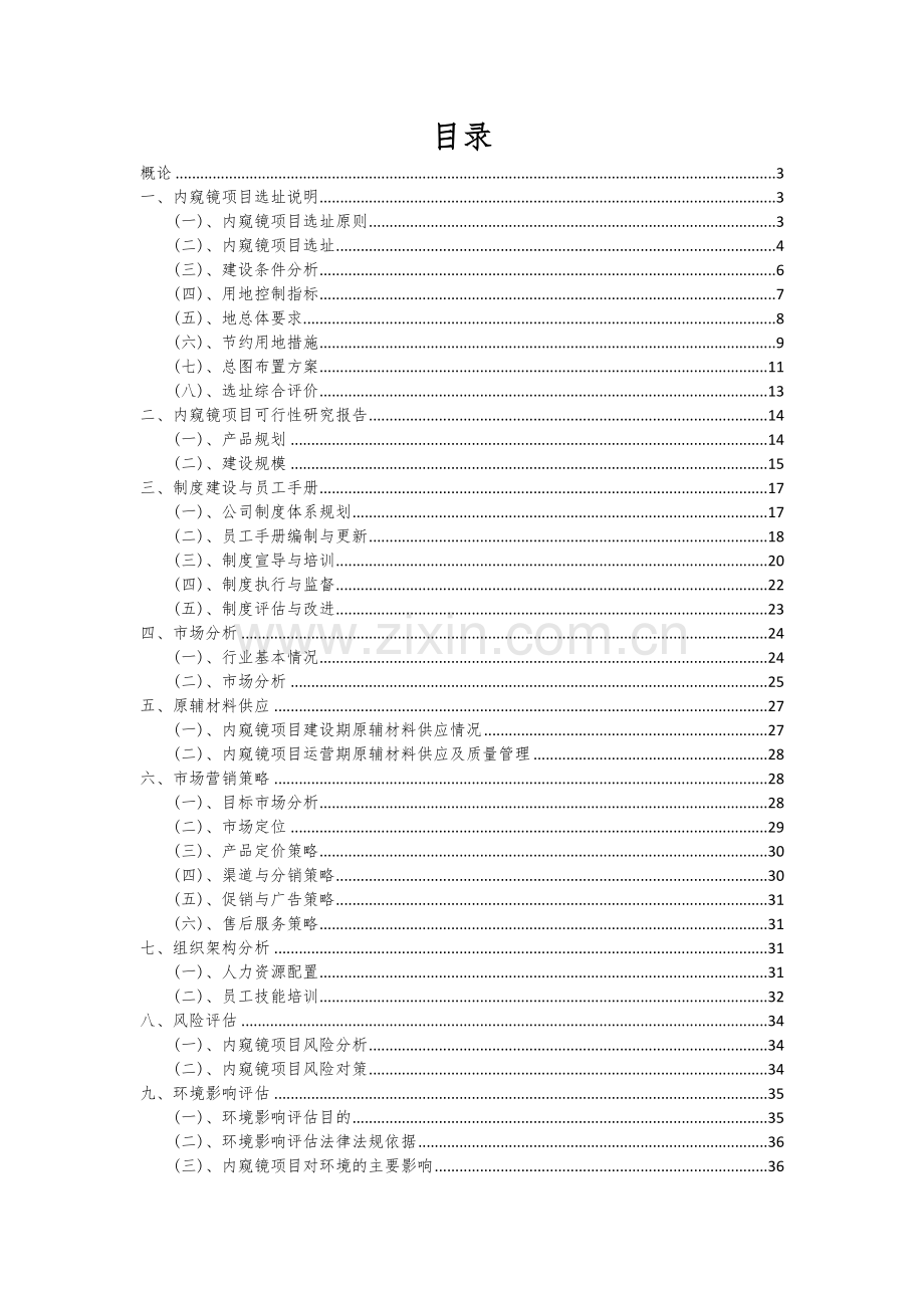 内窥镜项目创业计划书.docx_第2页