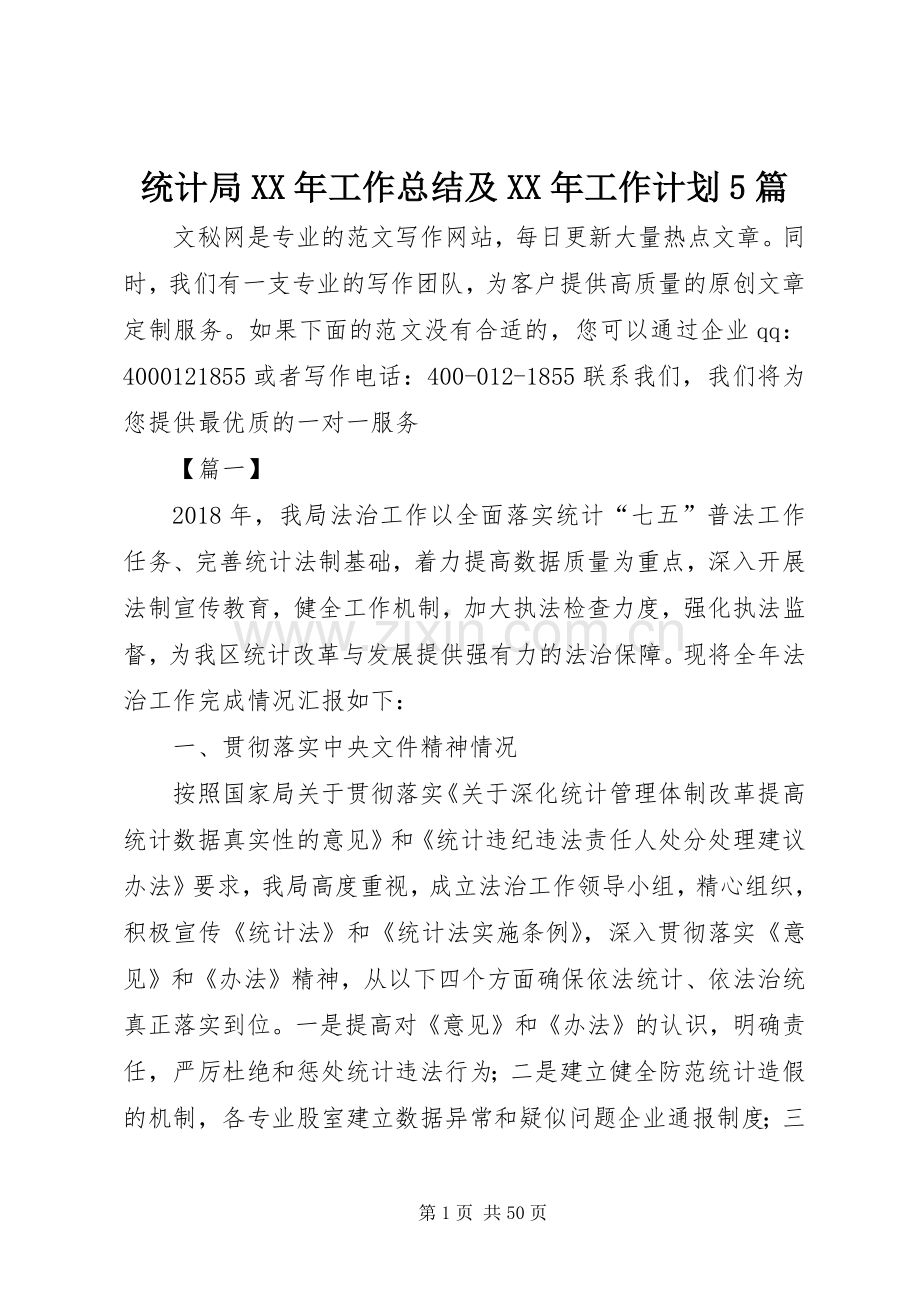 统计局XX年工作总结及XX年工作计划5篇.docx_第1页