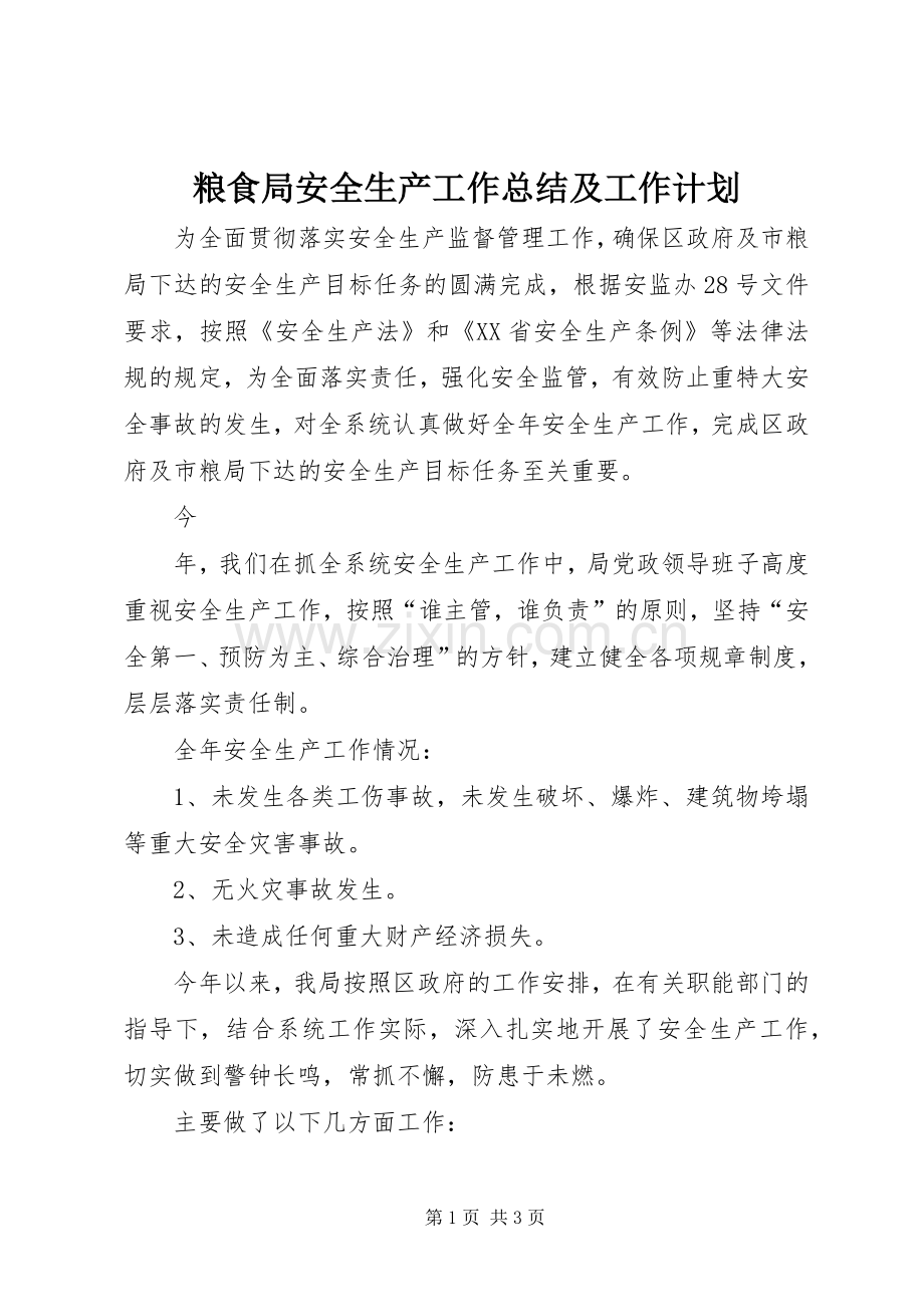 粮食局安全生产工作总结及工作计划 .docx_第1页