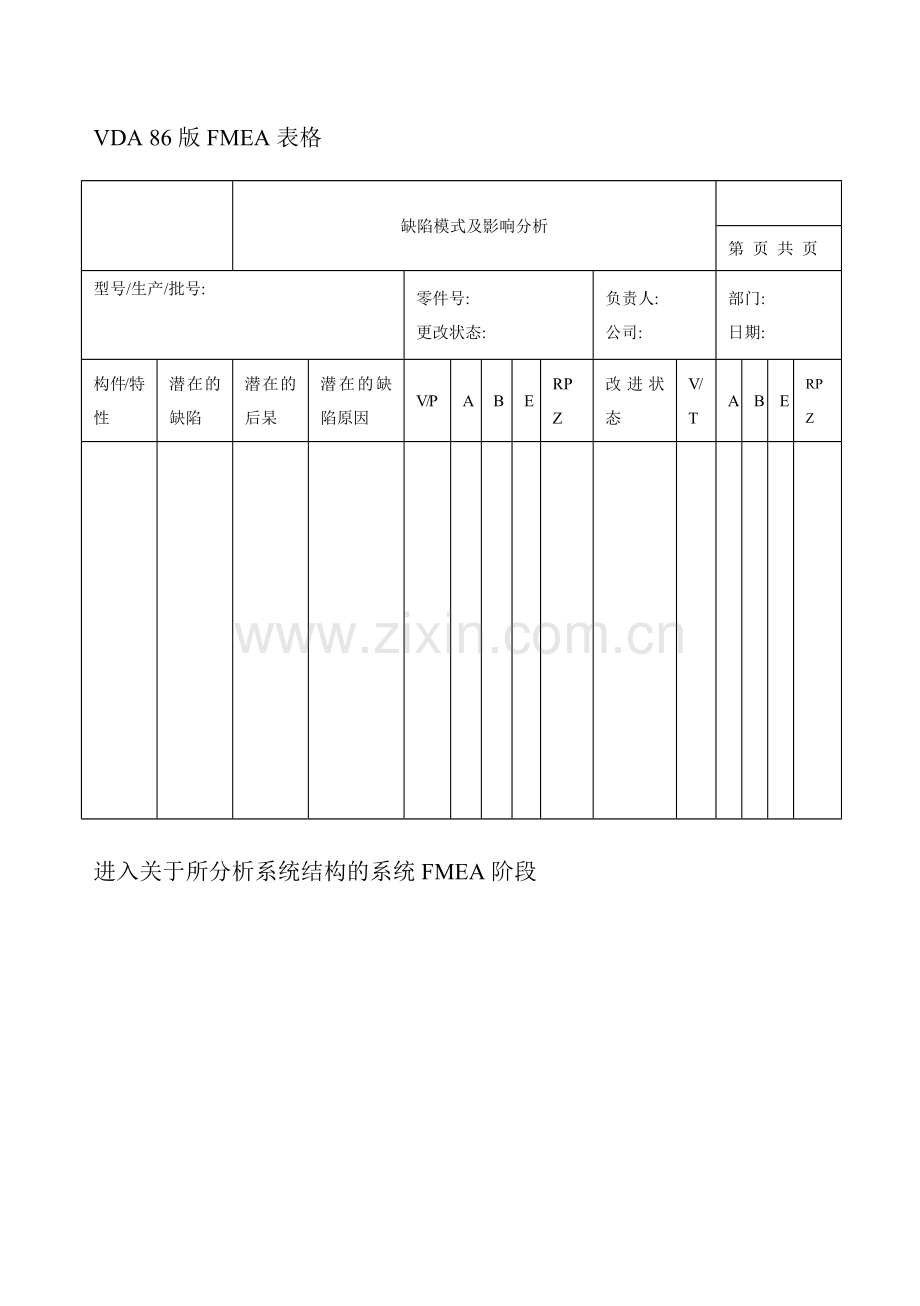 FMEA(VDA).docx_第2页