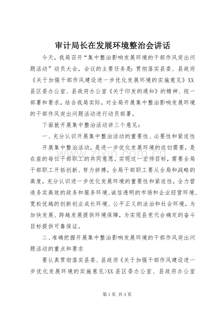 审计局长在发展环境整治会讲话发言.docx_第1页