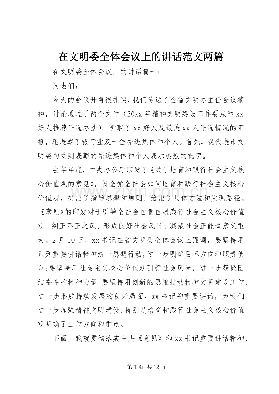 在文明委全体会议上的讲话发言范文两篇.docx_第1页
