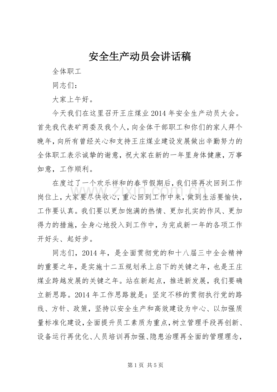 安全生产动员会讲话发言稿.docx_第1页