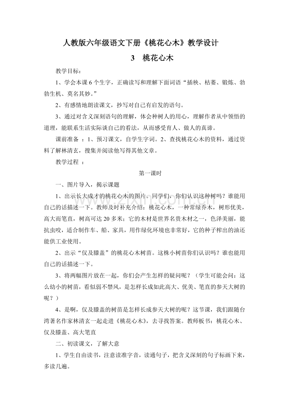 人教版六年级语文下册《桃花心木》教学设计.doc_第1页