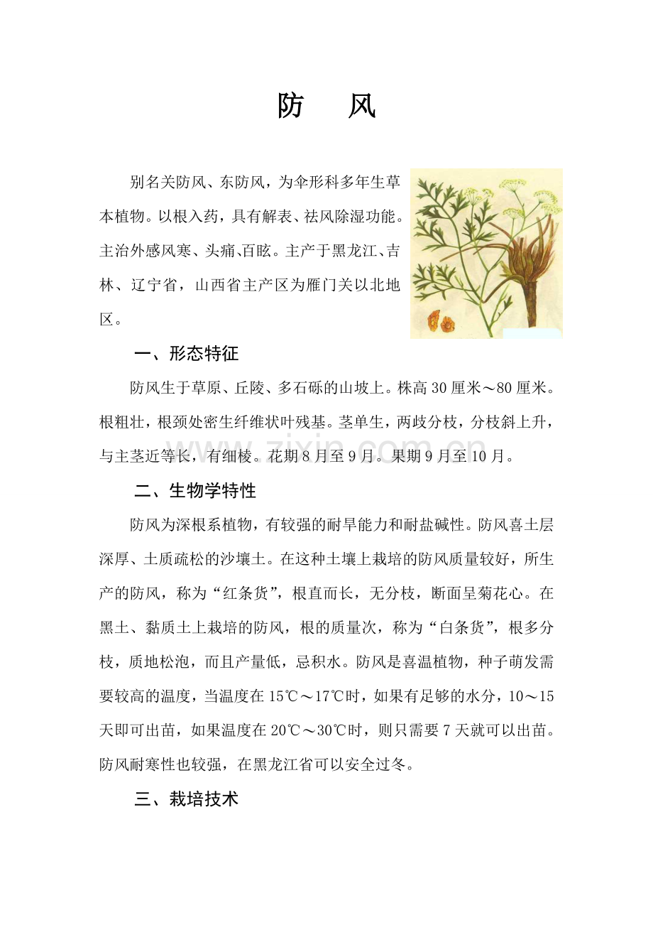 防风的栽培技术.doc_第1页