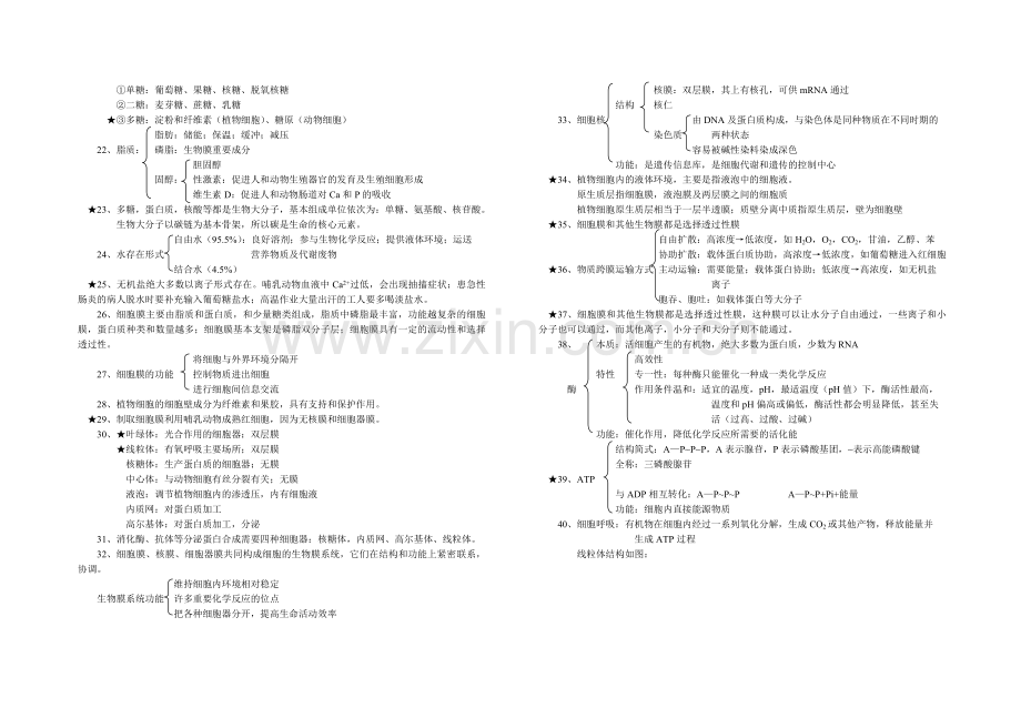 必修1学业水平测试知识汇编.doc_第2页