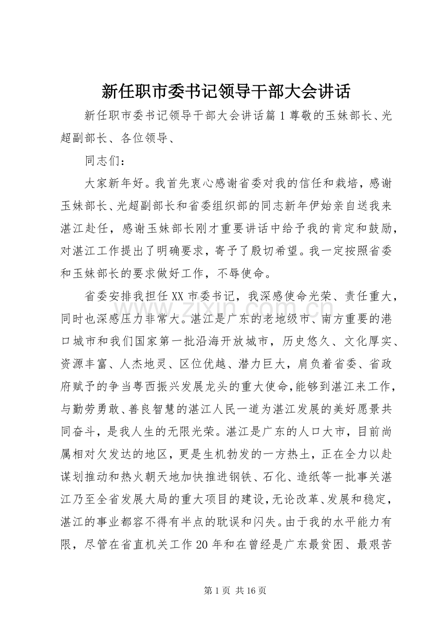 新任职市委书记领导干部大会讲话发言.docx_第1页