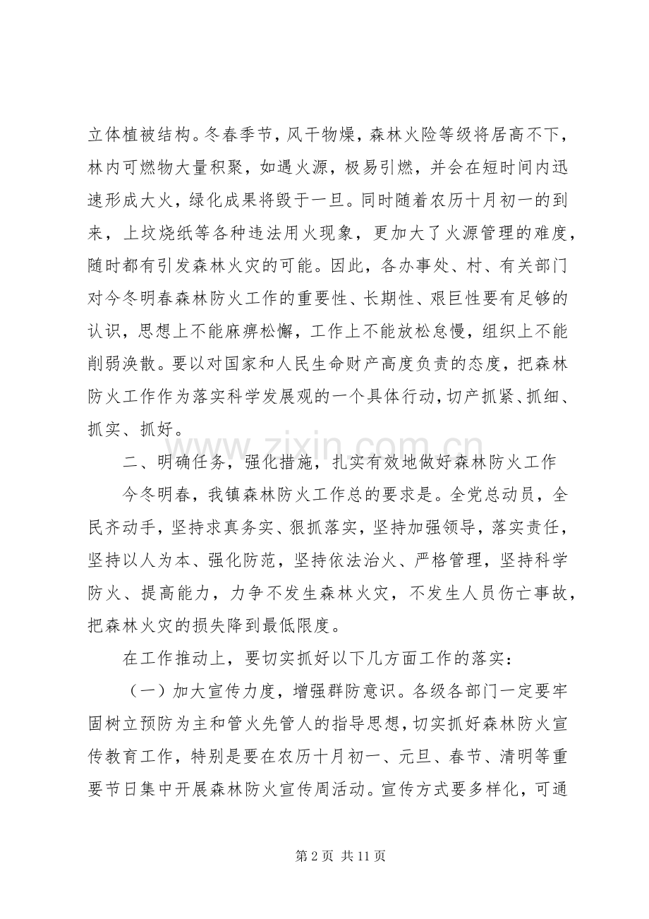 乡镇防火会议讲话发言稿.docx_第2页
