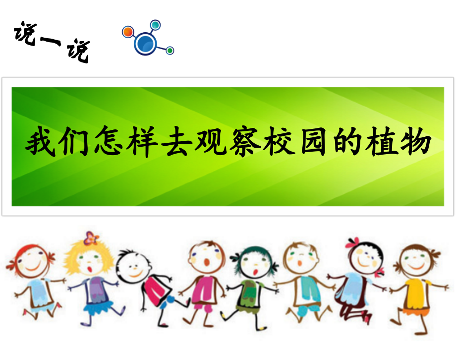 一上1.6校园里的植物.ppt_第2页