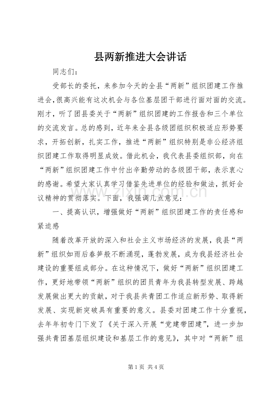 县两新推进大会讲话发言.docx_第1页