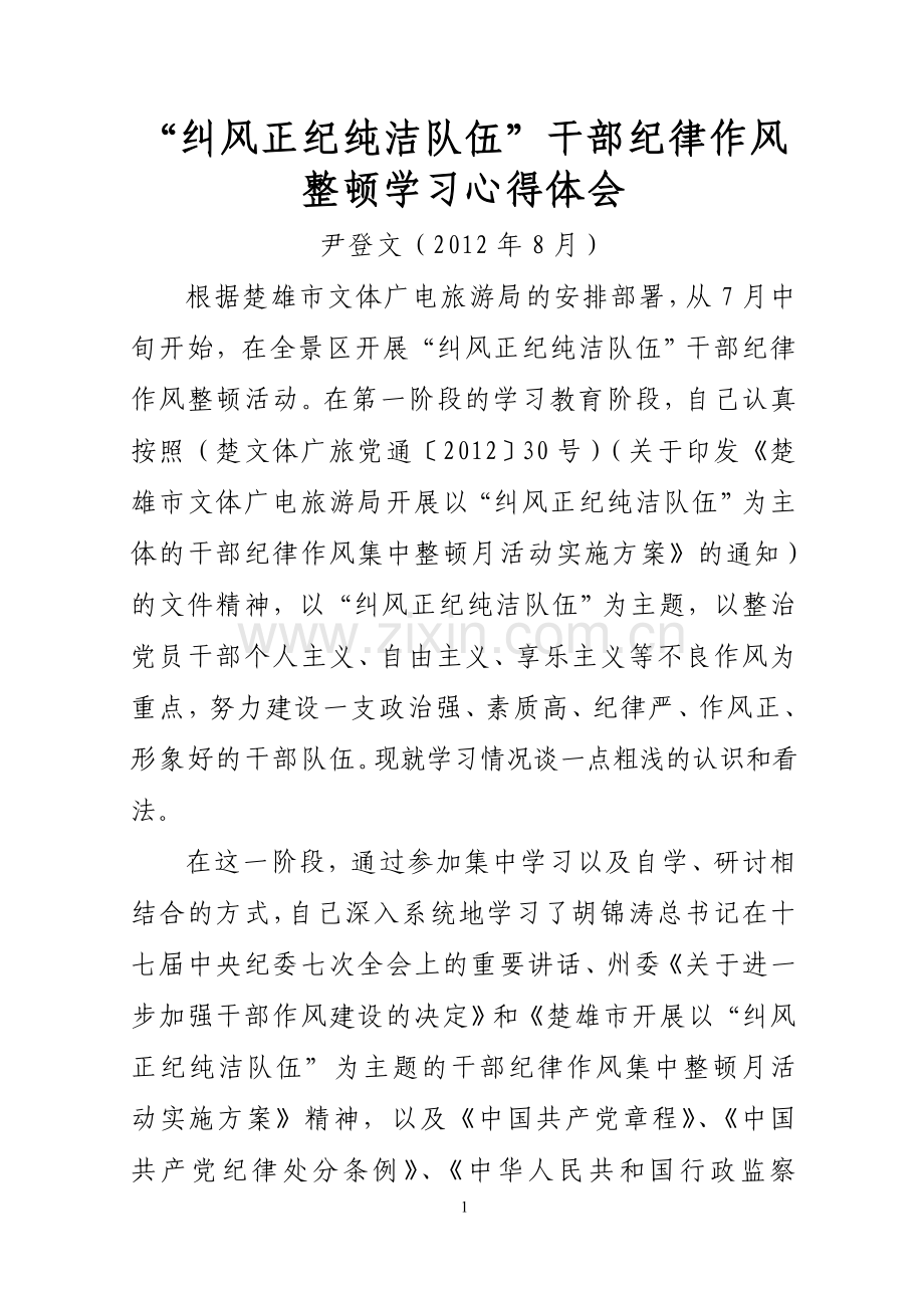 “纠风正纪纯洁队伍”干部纪律作风整顿学习心得体会.doc_第1页