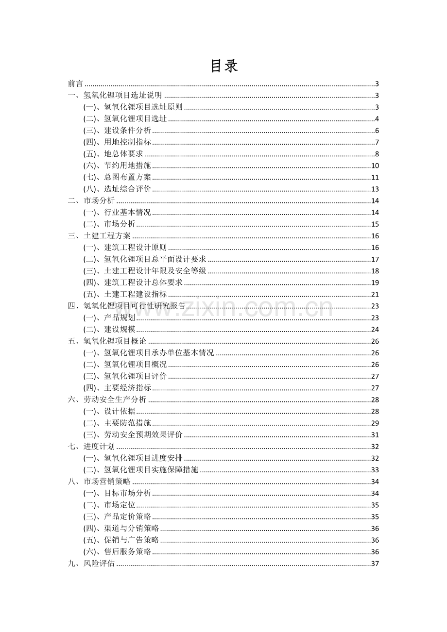 氢氧化锂项目可行性研究报告.docx_第2页