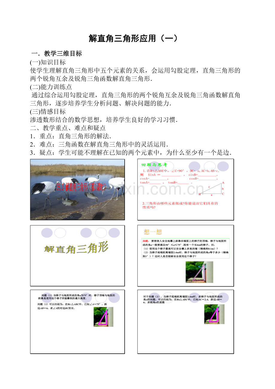 解直角三角函数（一）.doc_第1页