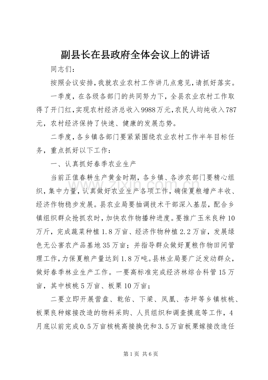 副县长在县政府全体会议上的讲话发言.docx_第1页