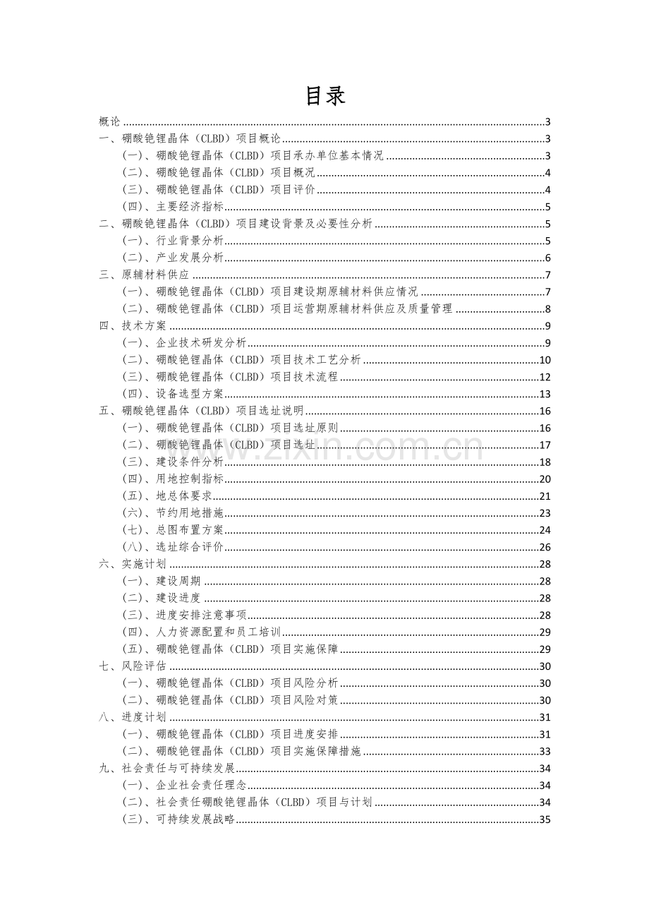 硼酸铯锂晶体(CLBD)项目商业计划书.docx_第2页