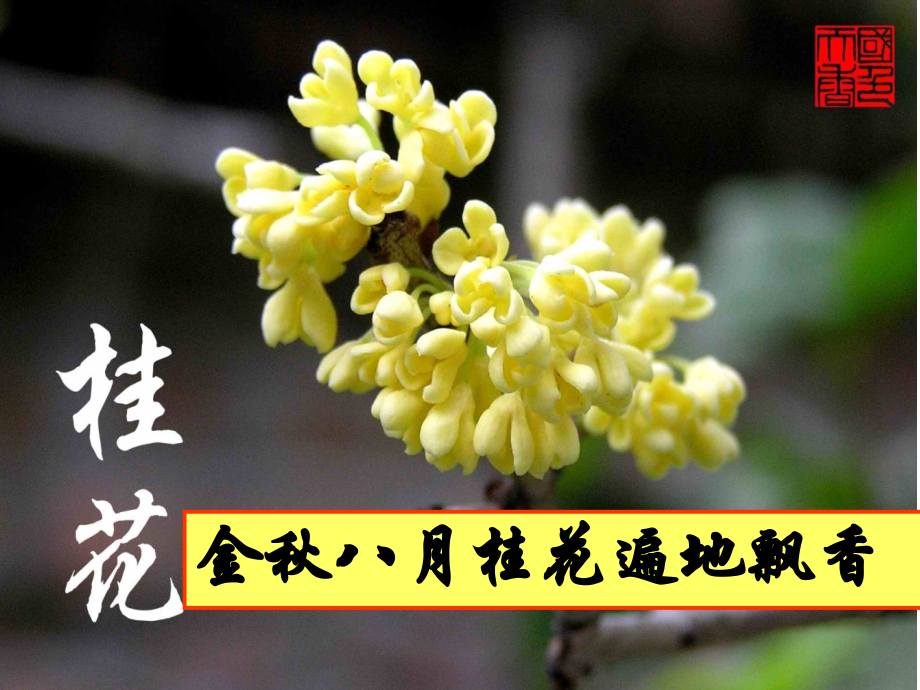 人教版九年级化学上册教学课件《第三单元课题1_分子和原子》.ppt_第2页
