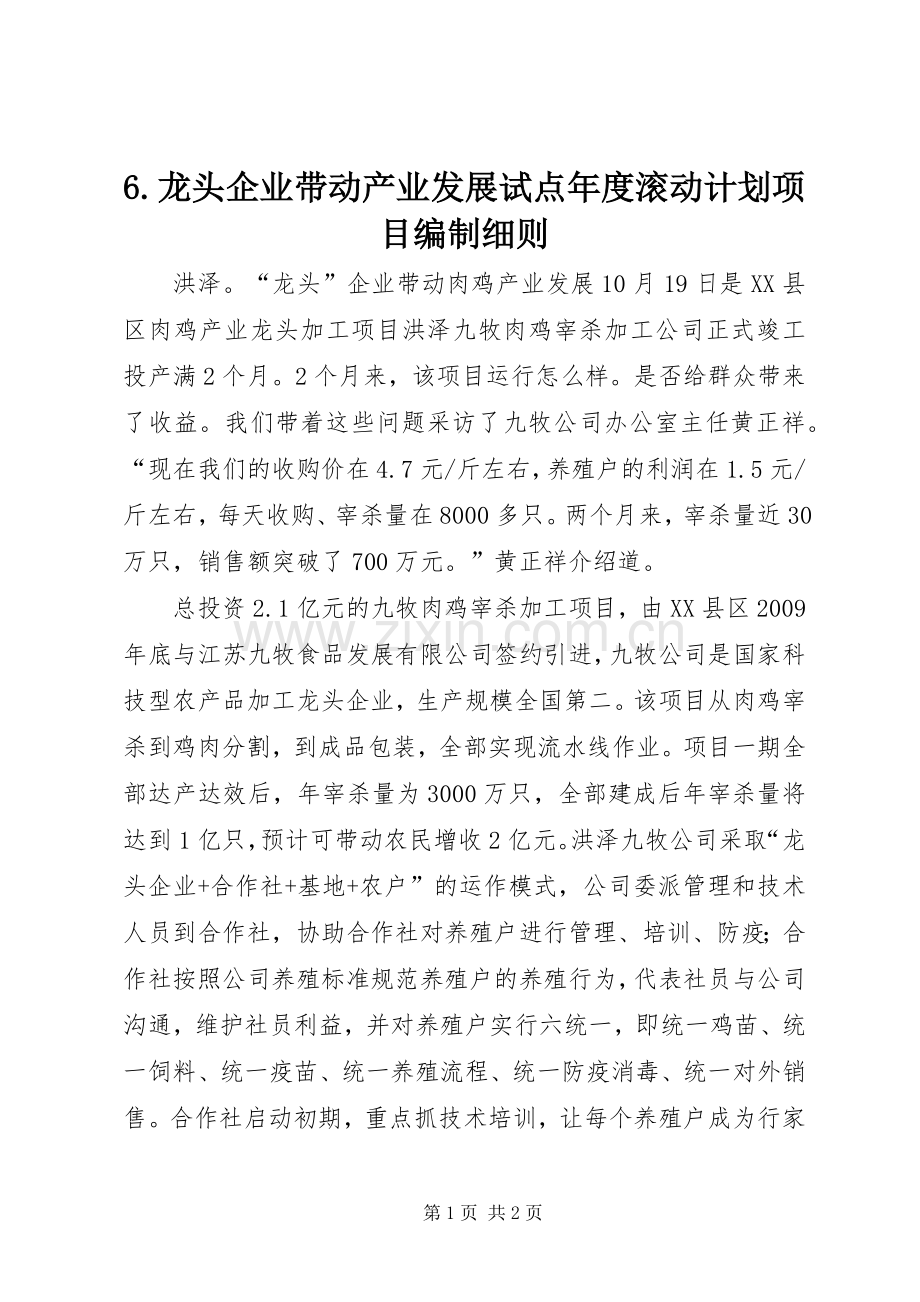 6.龙头企业带动产业发展试点年度滚动计划项目编制细则_1.docx_第1页