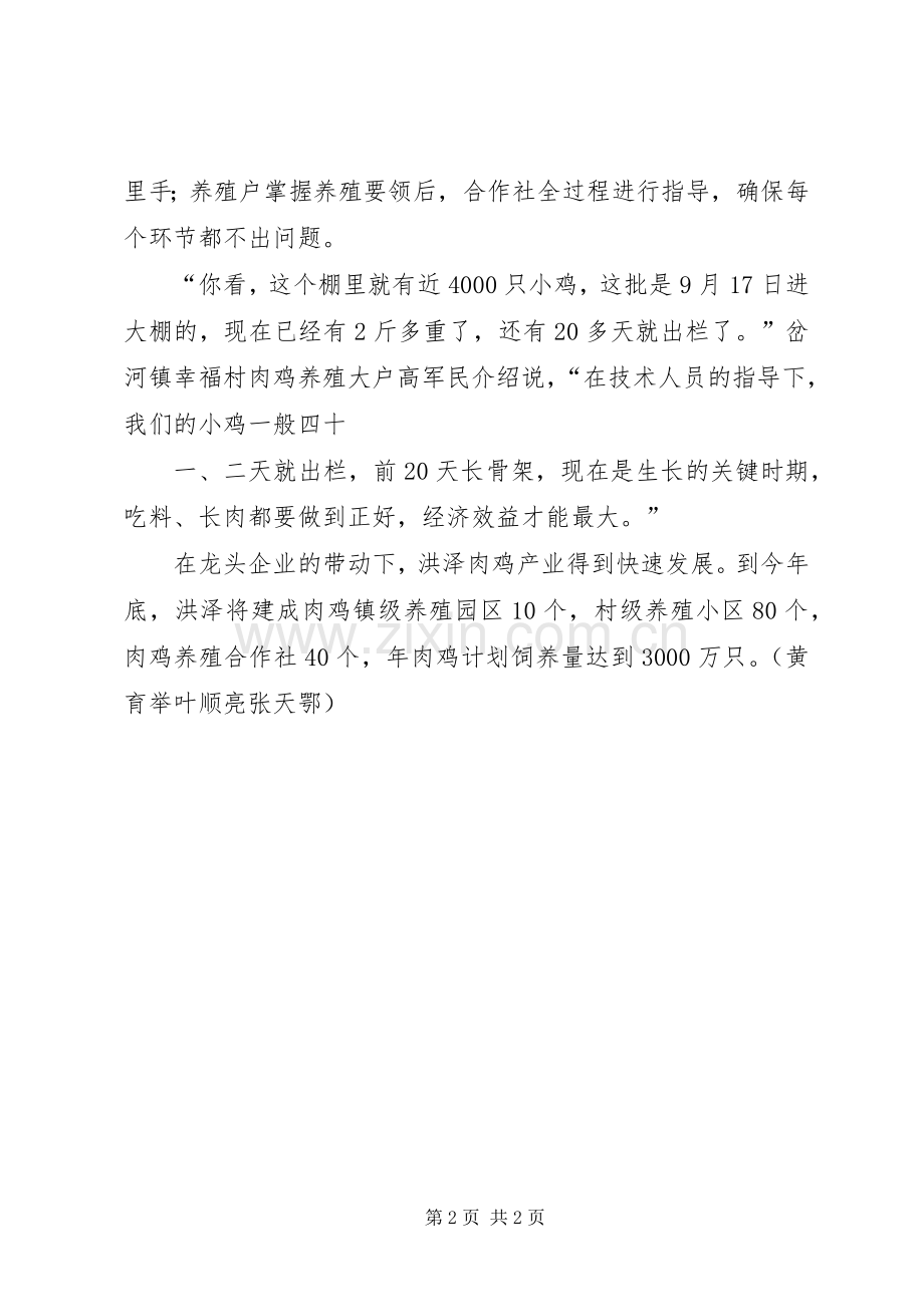 6.龙头企业带动产业发展试点年度滚动计划项目编制细则_1.docx_第2页