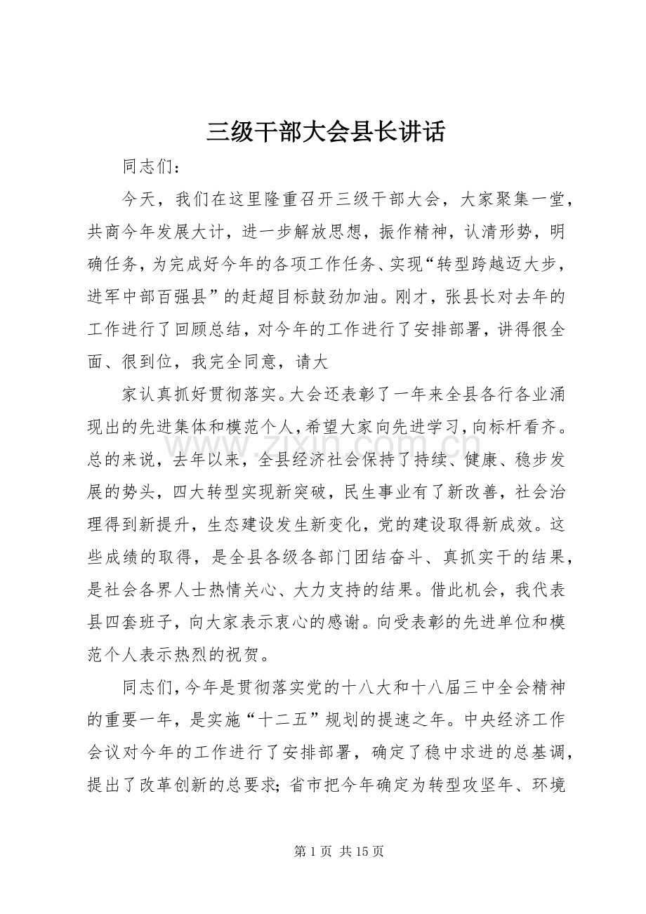 三级干部大会县长讲话发言.docx_第1页