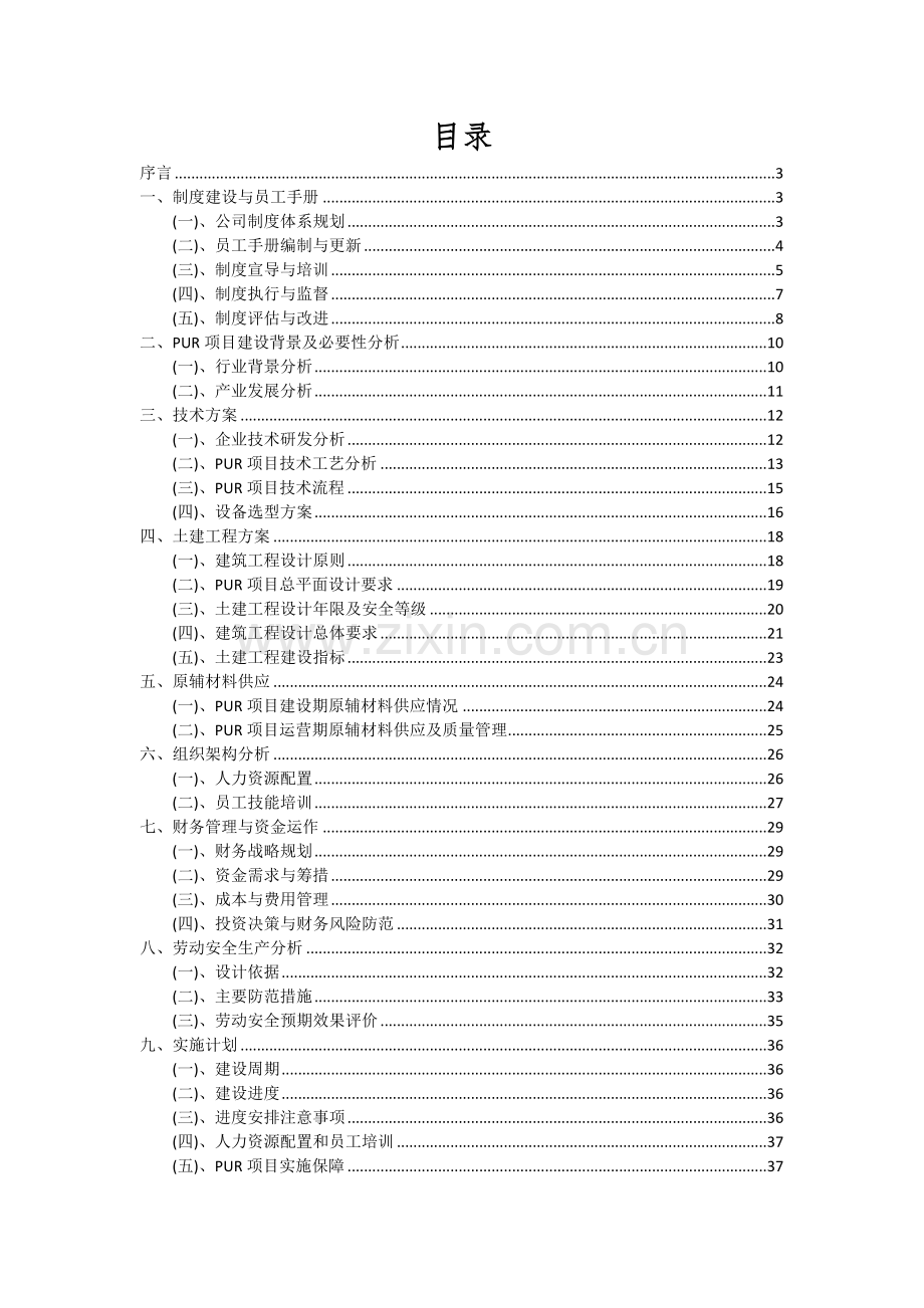 PUR项目投资分析及可行性报告.docx_第2页