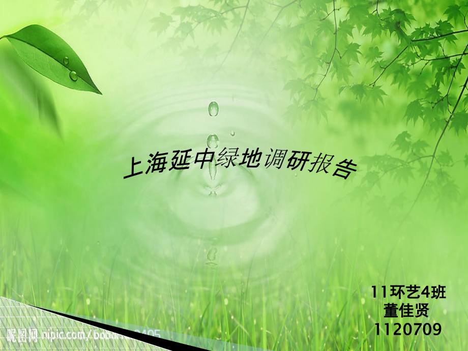 上海延中绿地.ppt_第1页