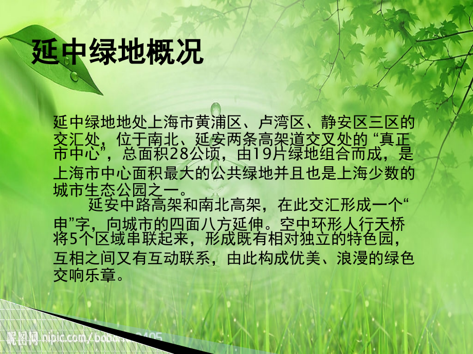上海延中绿地.ppt_第2页