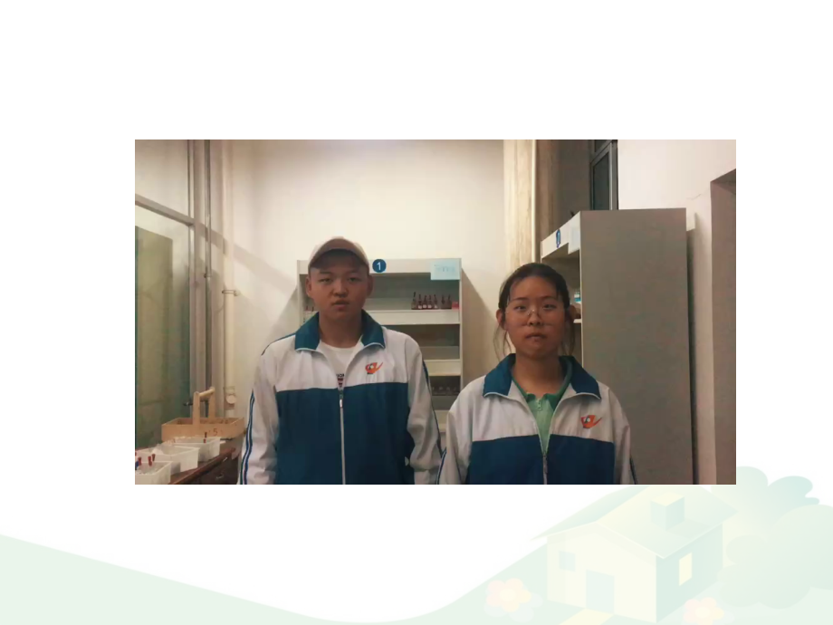 盐的分类、命名、溶解性.pptx_第1页
