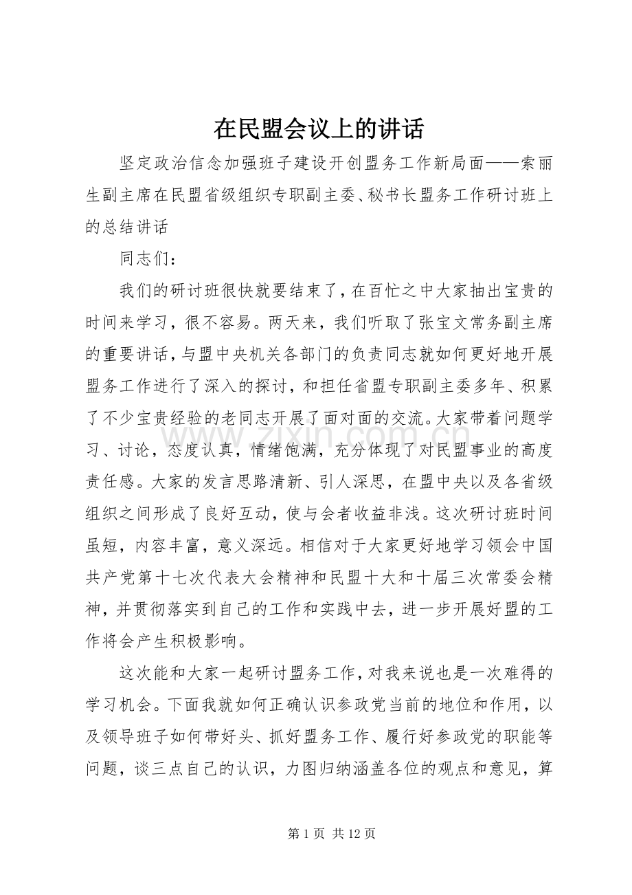 在民盟会议上的讲话发言.docx_第1页