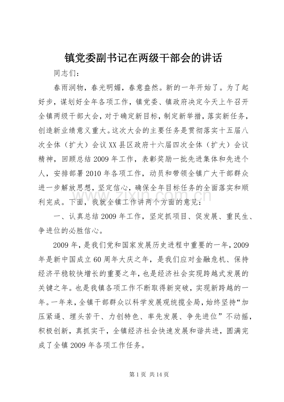 镇党委副书记在两级干部会的讲话发言.docx_第1页