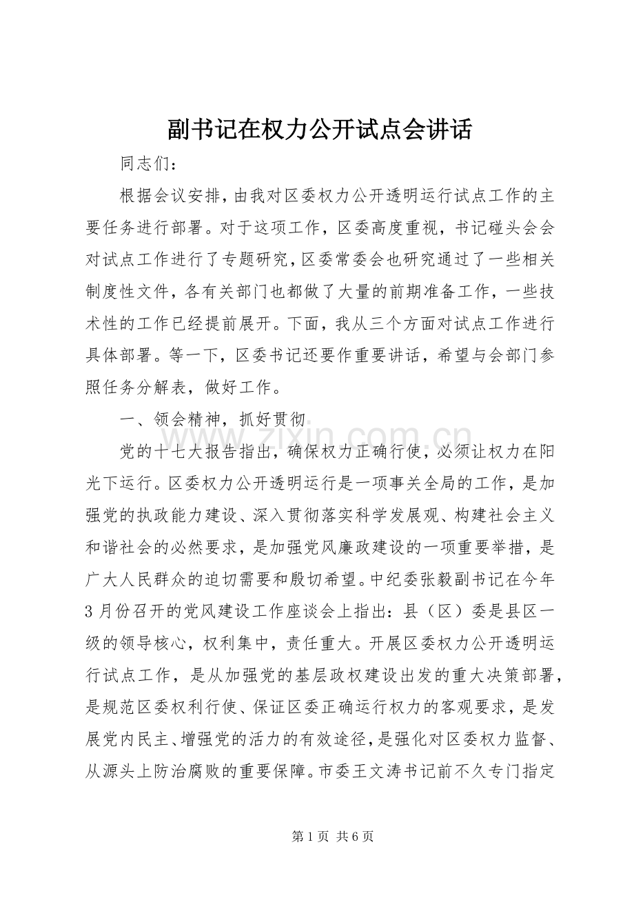 副书记在权力公开试点会讲话发言.docx_第1页