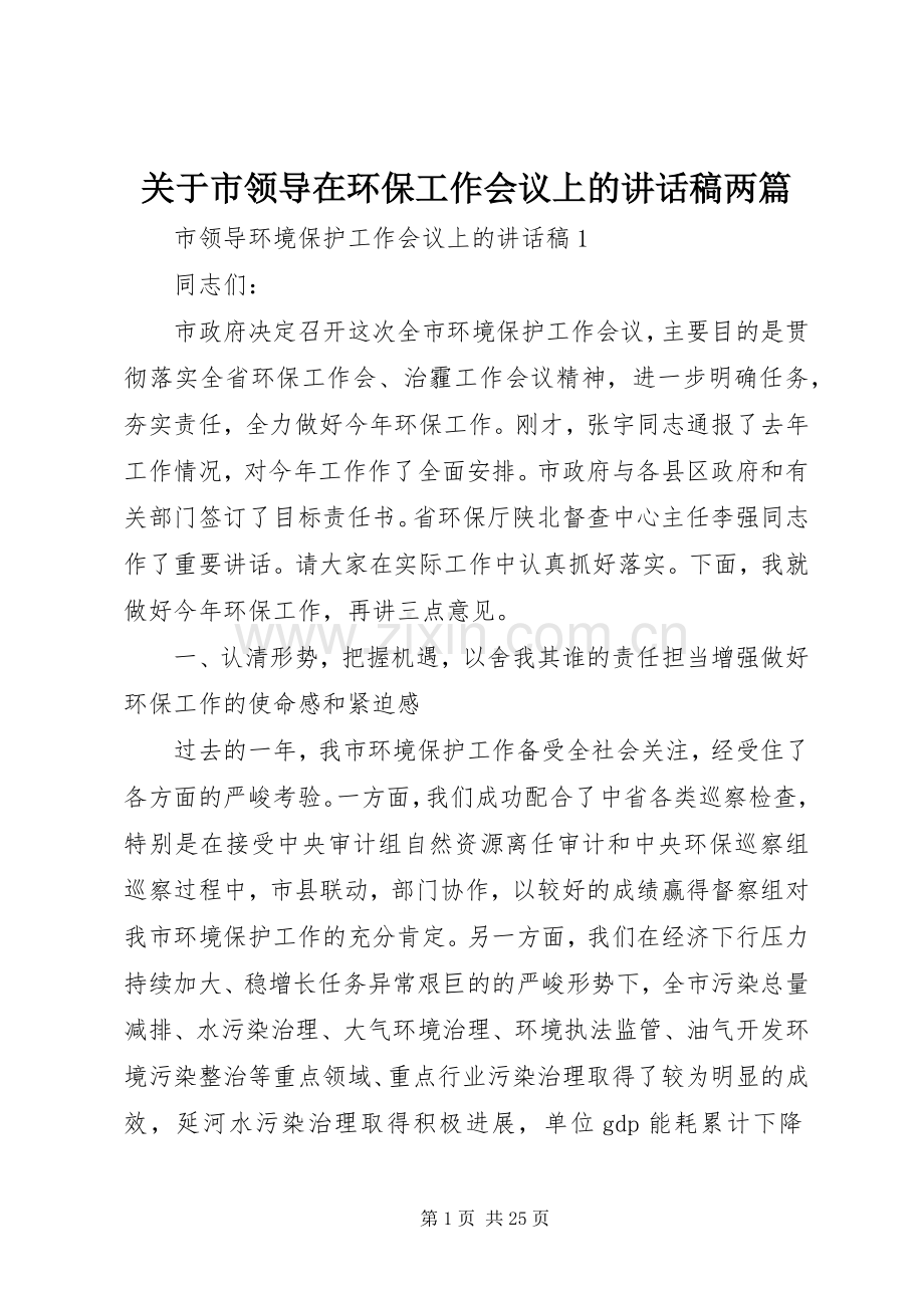 关于市领导在环保工作会议上的讲话发言稿两篇.docx_第1页