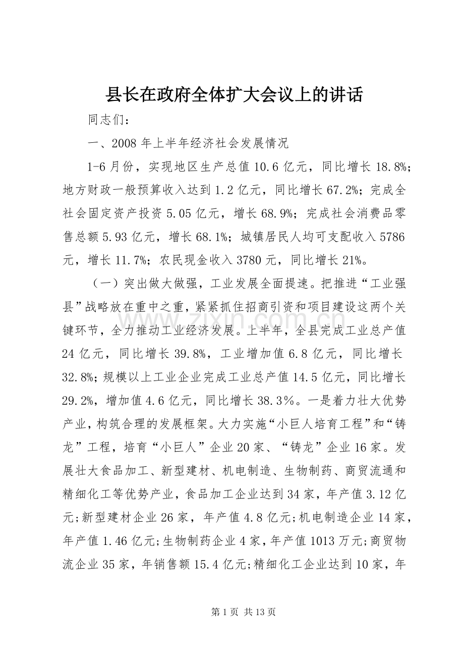 县长在政府全体扩大会议上的讲话发言.docx_第1页