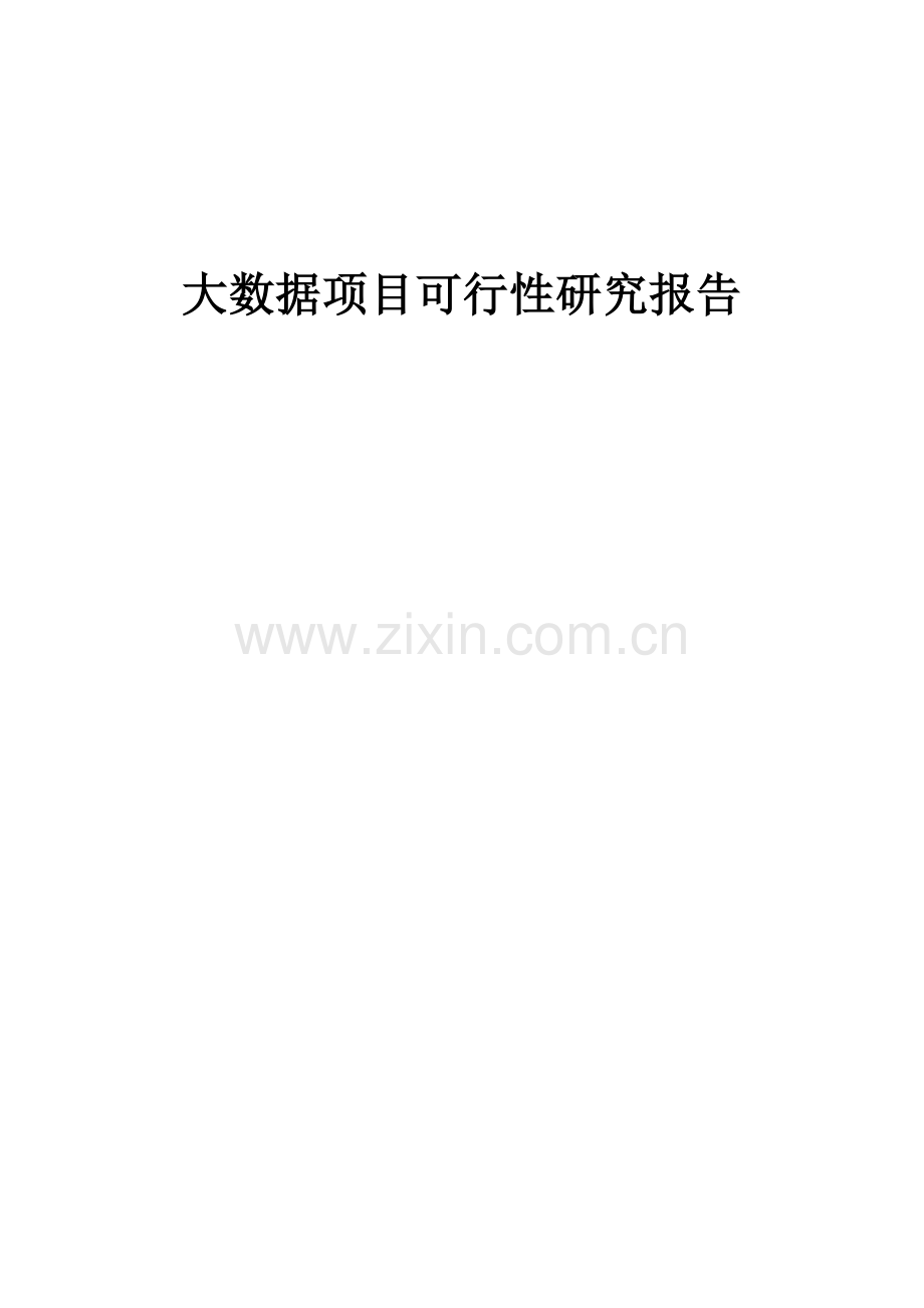大数据项目可行性研究报告.docx_第1页