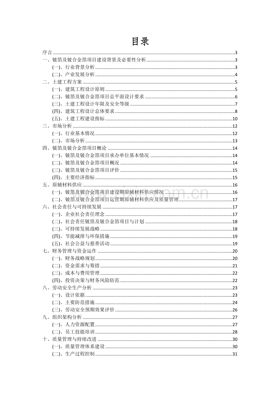 铍箔及铍合金箔项目投资分析及可行性报告.docx_第2页