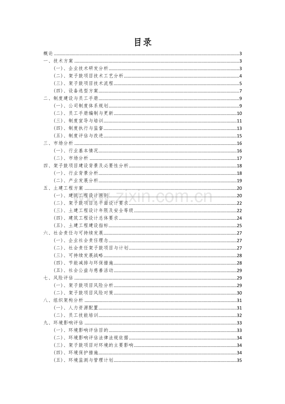 架子鼓项目可行性研究报告.docx_第2页