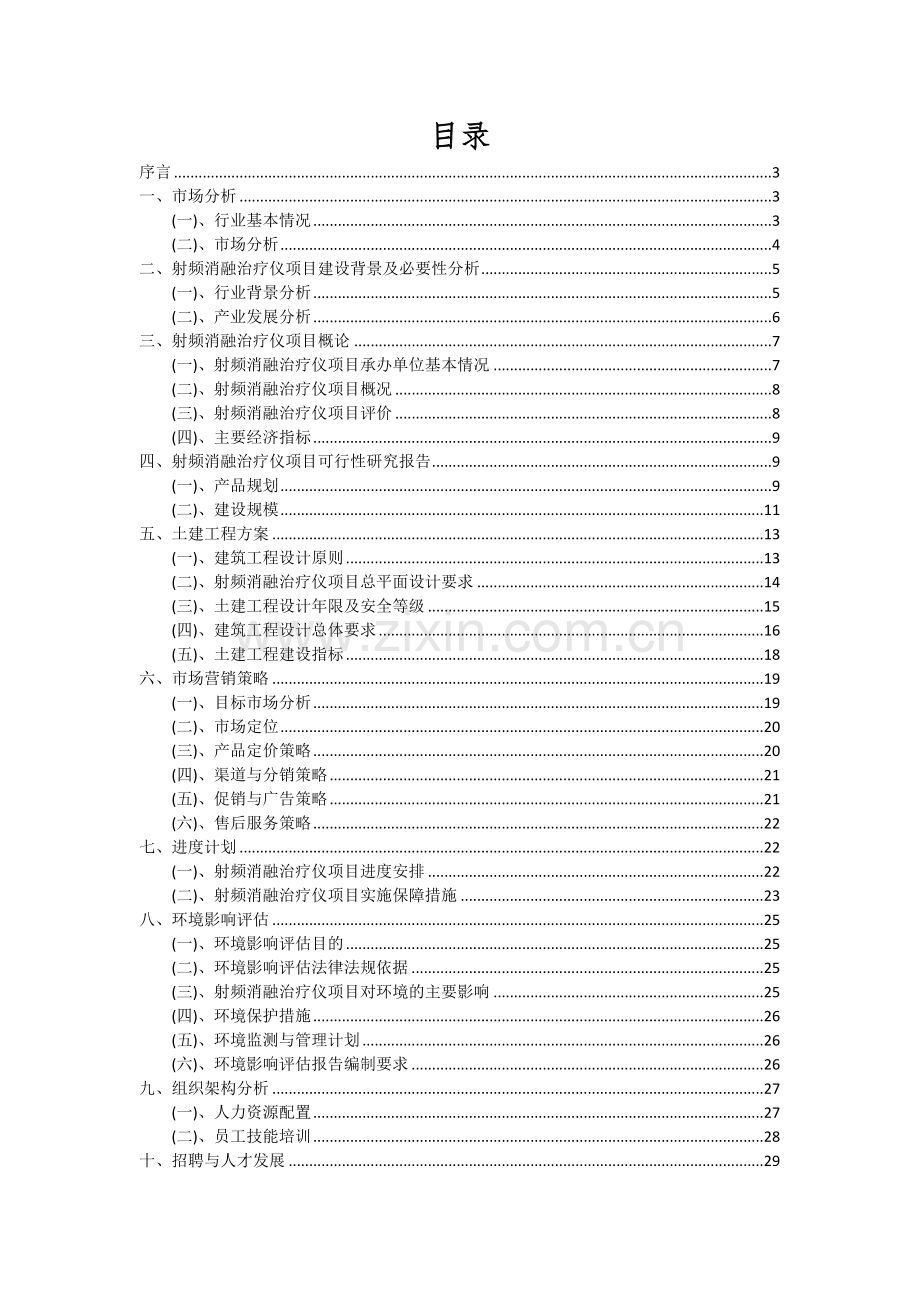 射频消融治疗仪项目可行性研究报告.docx_第2页
