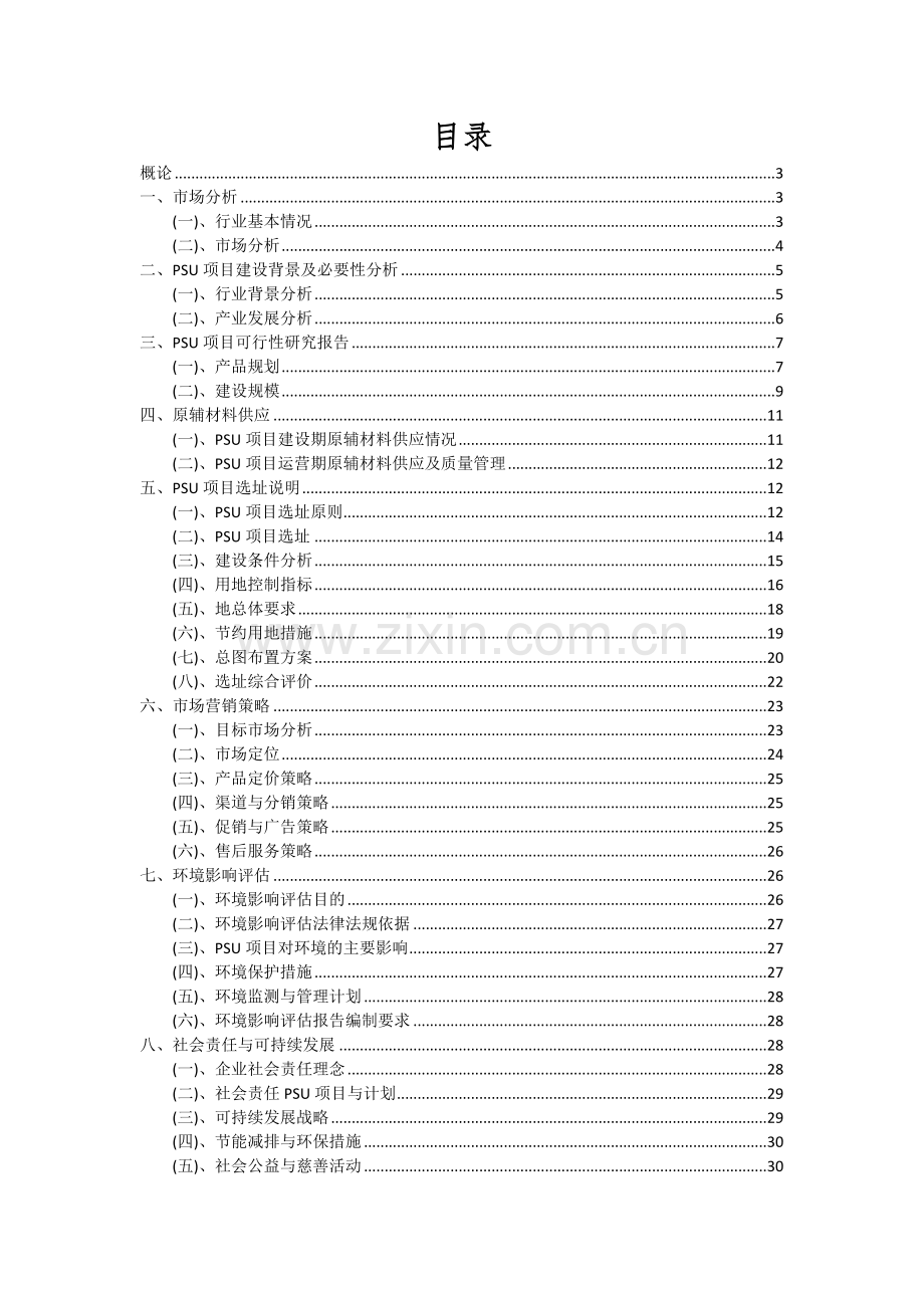 PSU项目可行性分析报告.docx_第2页