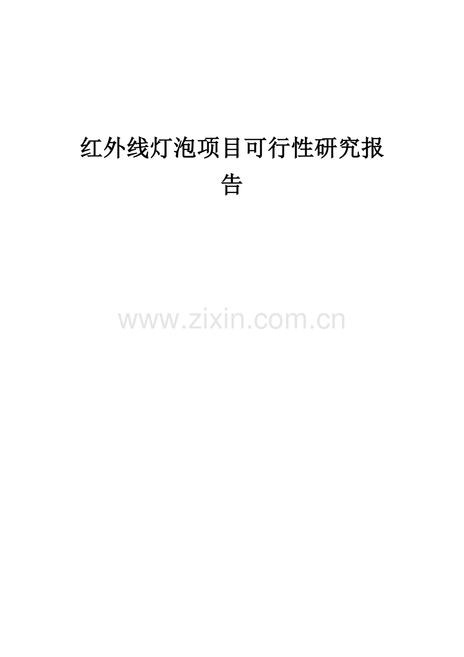 红外线灯泡项目可行性研究报告.docx_第1页