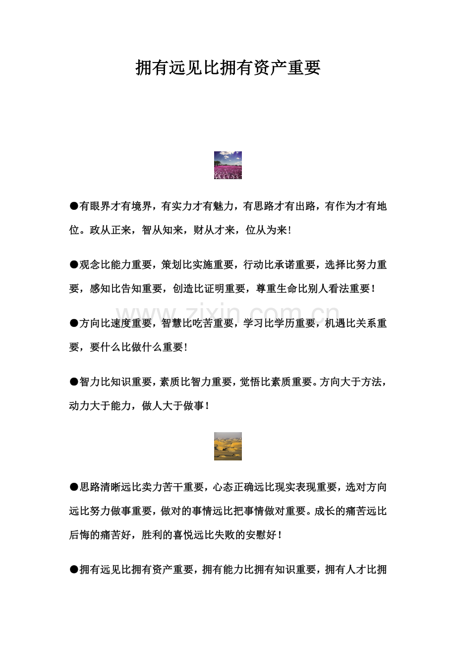 拥有远见比拥有资产重要.docx_第1页