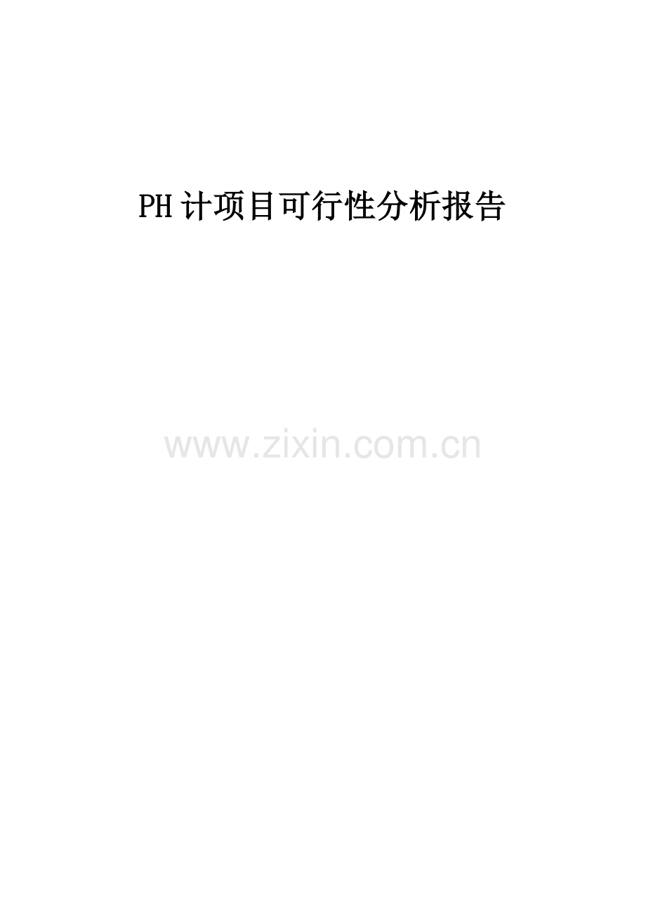 PH计项目可行性分析报告.docx_第1页