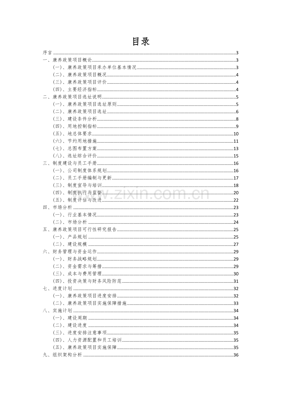 康养政策项目可行性分析报告.docx_第2页