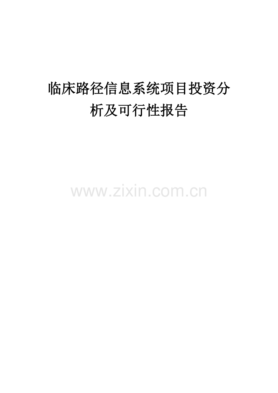 临床路径信息系统项目投资分析及可行性报告.docx_第1页