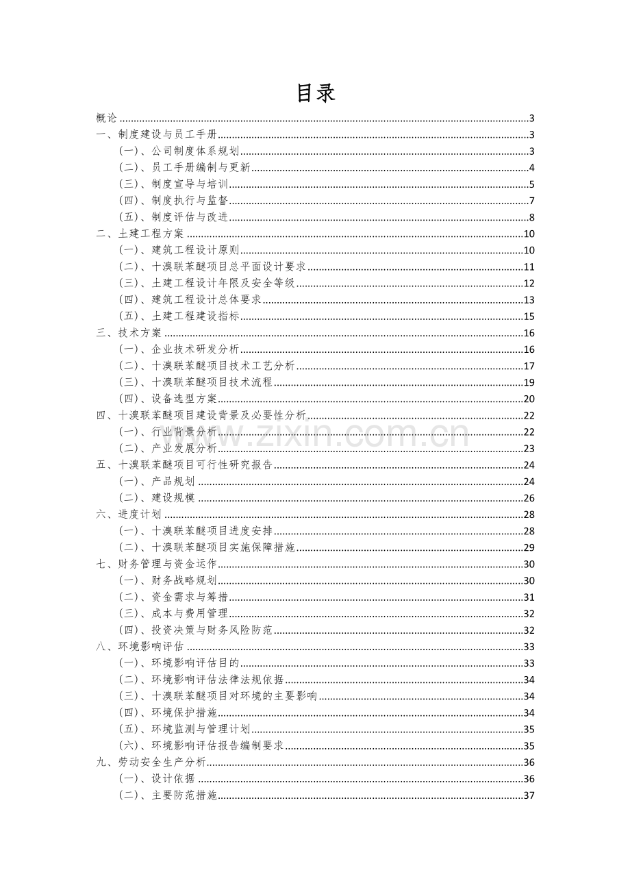十溴联苯醚项目可行性研究报告.docx_第2页